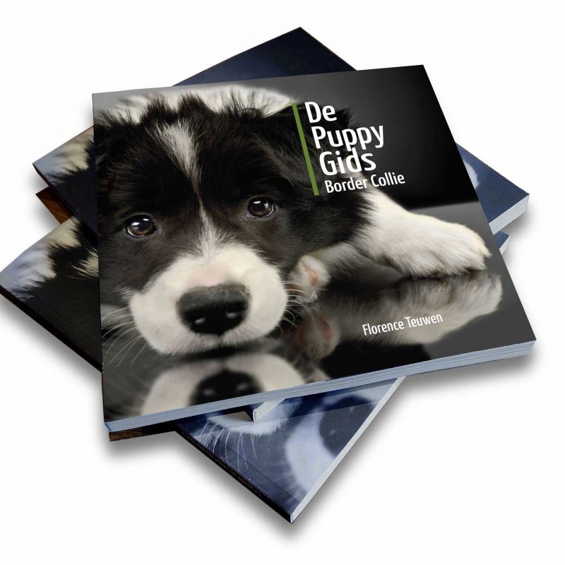 De Puppy Gids
