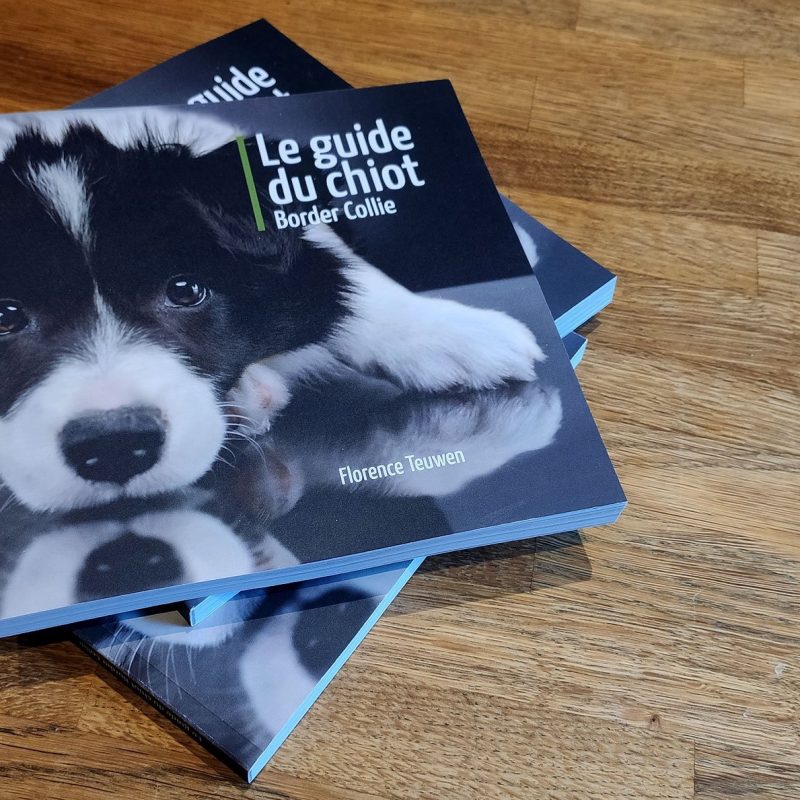 Le Guide du Chiot